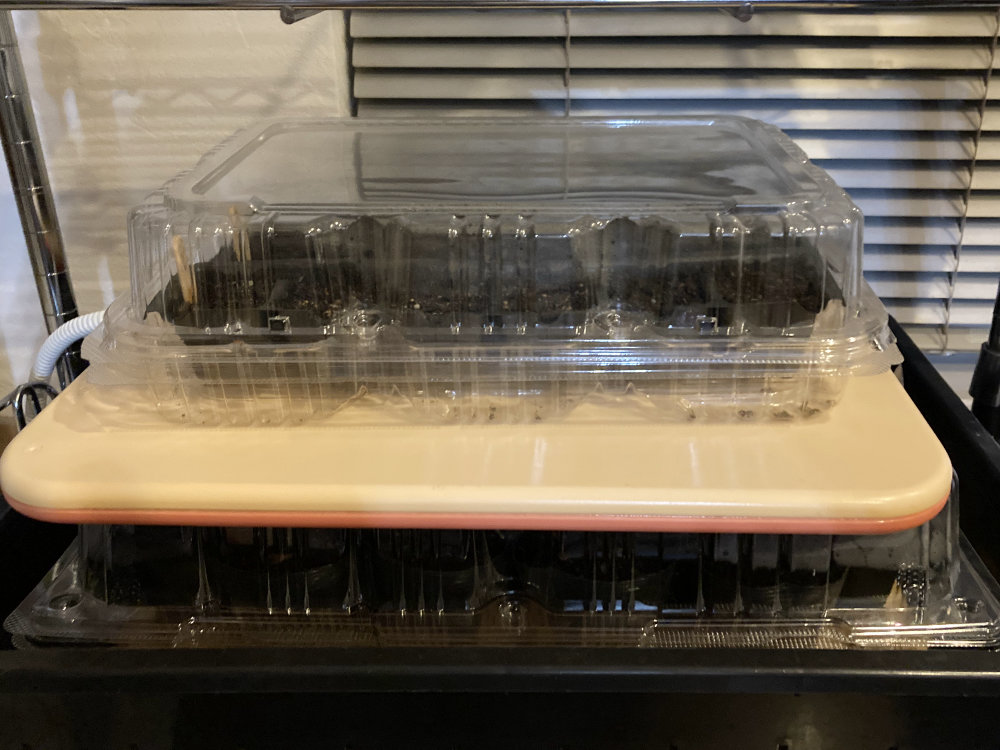 ペット用ヒーターを挟む