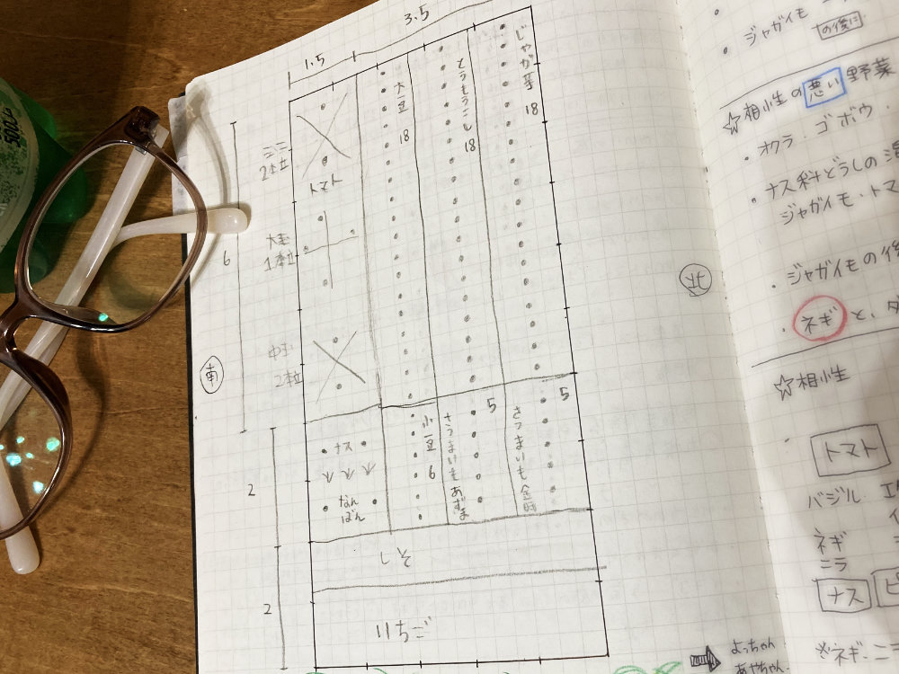 畑のレイアウト