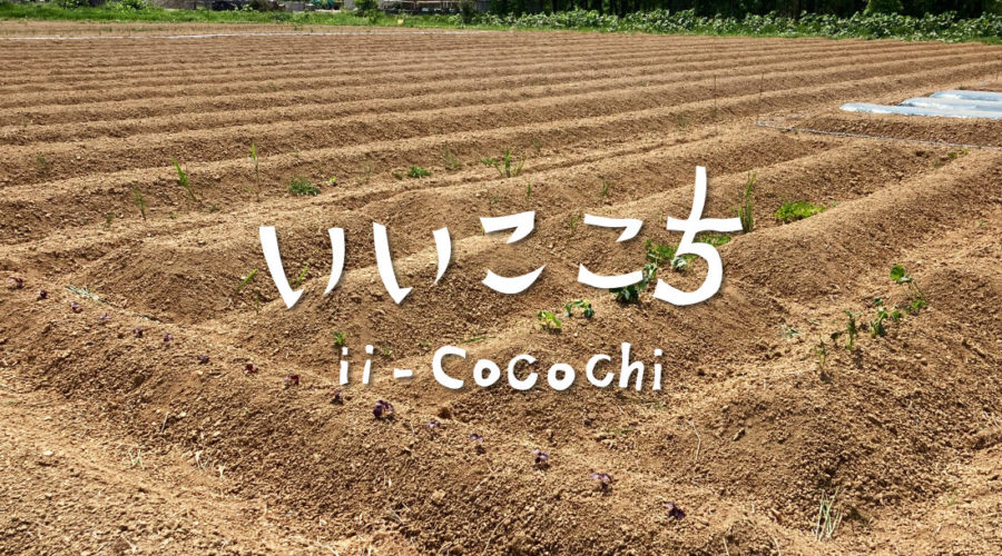 貸し農園_アイキャッチ