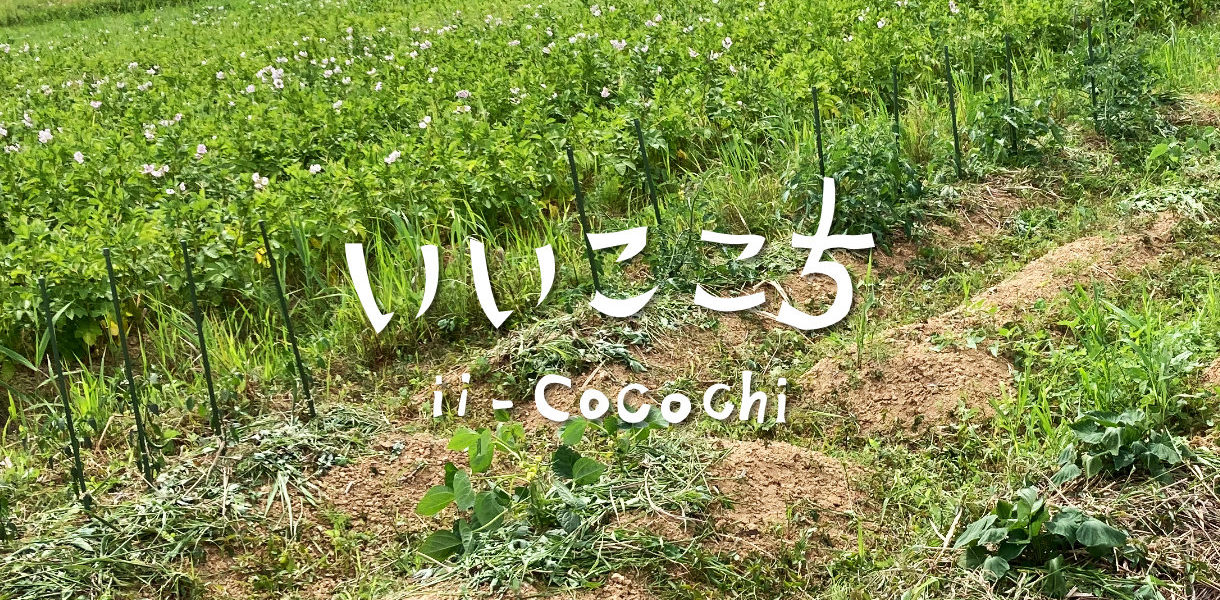 自然栽培の貸し農園_アイキャッチ