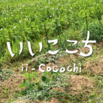 自然栽培の貸し農園_アイキャッチ