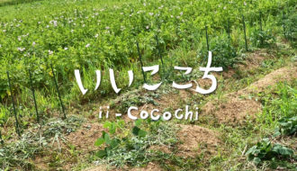 自然栽培の貸し農園_アイキャッチ