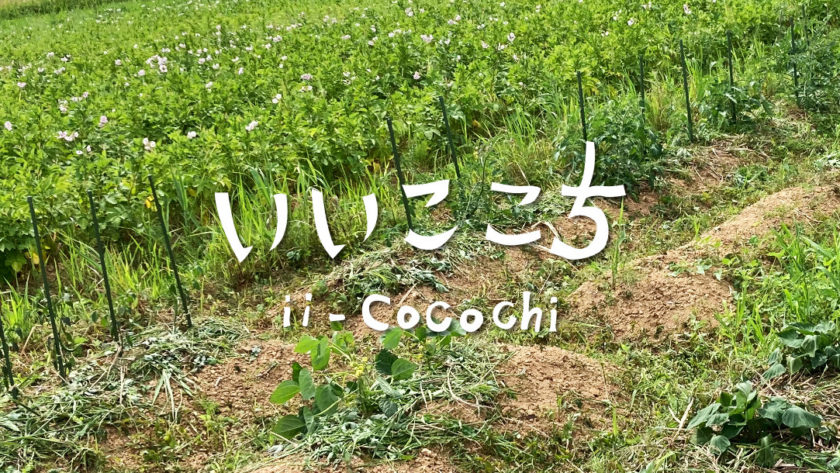 自然栽培の貸し農園_アイキャッチ